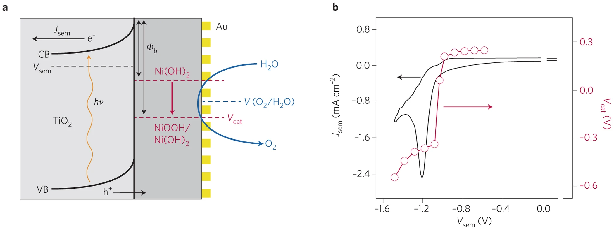Water splitting: An adaptive junction.