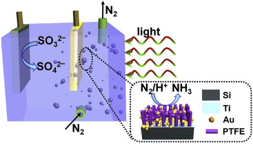 New Electrolytic Devices Produce Ammonia with Exceptional Selectivity