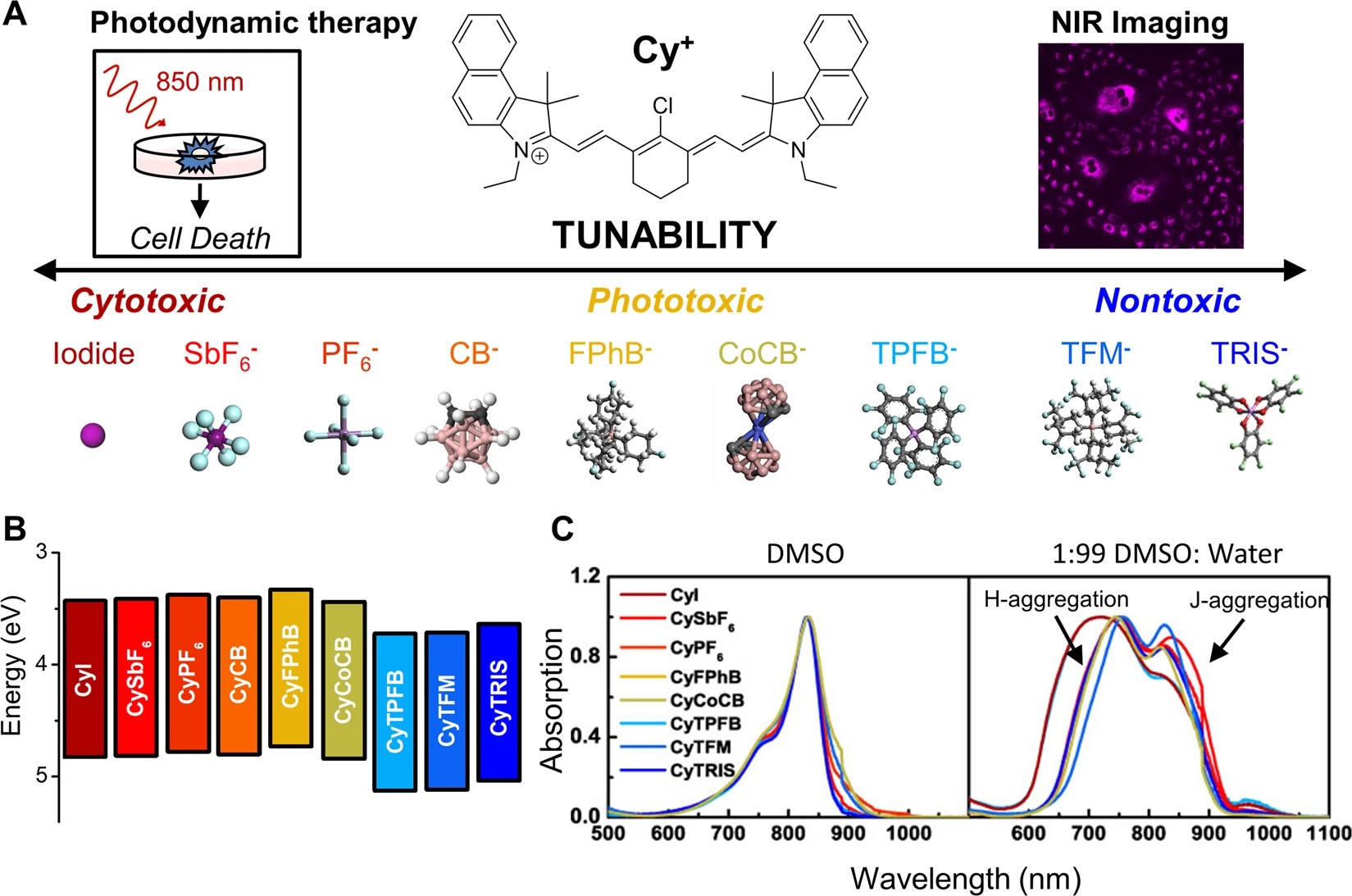 Modulating Cellular Cytotoxicity and Phototoxicity of Fluorescent Organic Salts through Counterion Pairing