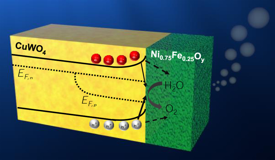 Charge Carrier Dynamics at the CuWO4/Electrocatalyst Interface for Photoelectrochemical Water Oxidation