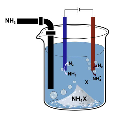 Ammonia eurefstics: Electrolytes for liquid energy storage and conversion at room temperature and ambient pressure