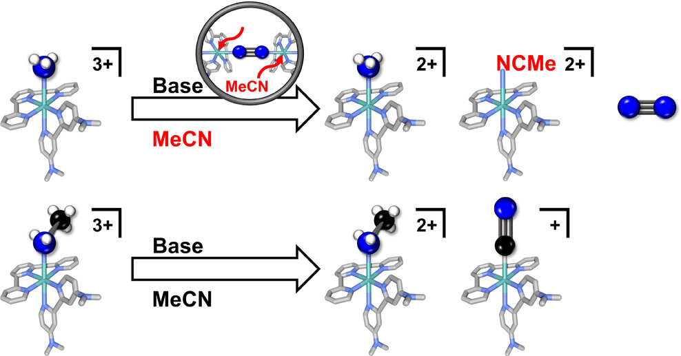 Deciphering the Mechanism of Lewis Base Triggered Conversion of Ammonia to Molecular Nitrogen and Methylamine to Cyanide