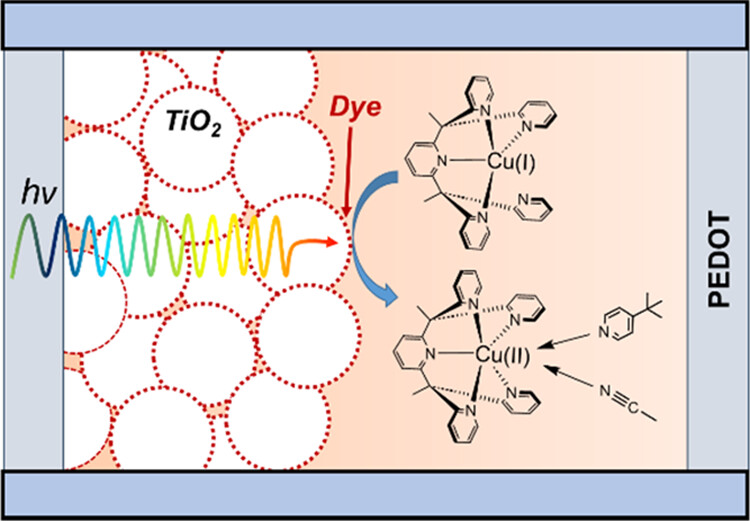 Open-Cage Copper Complexes Modulate Coordination and Charge Transfer