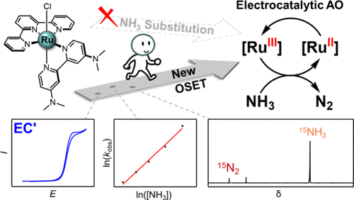 Electrocatalytic Ammonia Oxidation with Coordinatively Saturated Ruthenium Catalyst